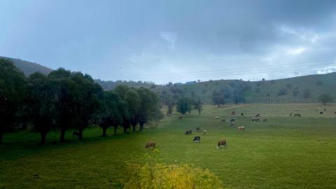 Batı Karadeniz